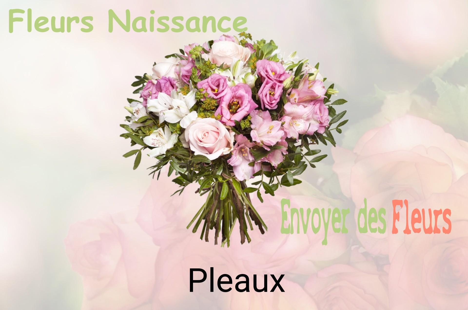 Bouquet de fleurs de naissance livré à Pleaux