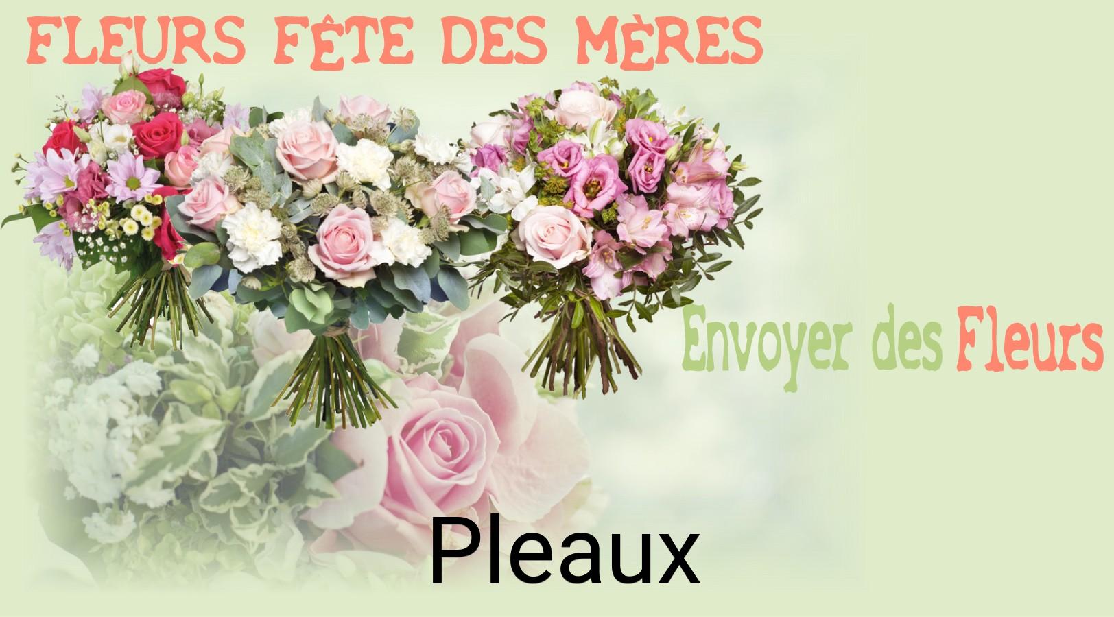 Bouquet de Fête des Mères livré à Pleaux